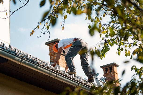 Best Roof Maintenance Services  in Del City, OK
